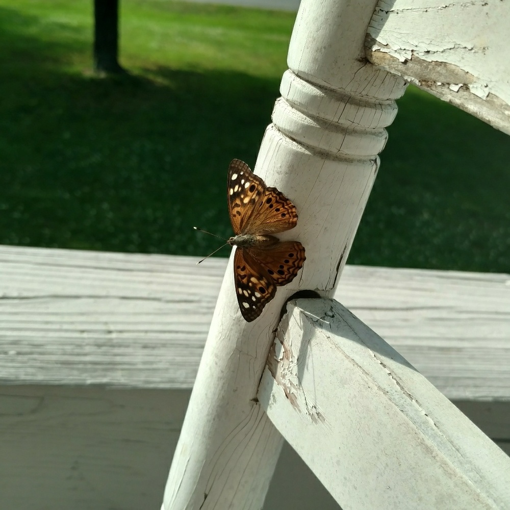 Meet your Posher, Jennifer